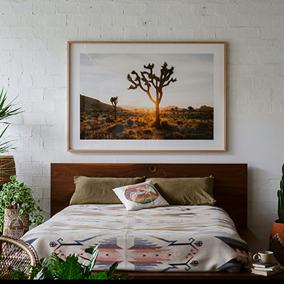 Purchase a home in Sahuarita, AZ